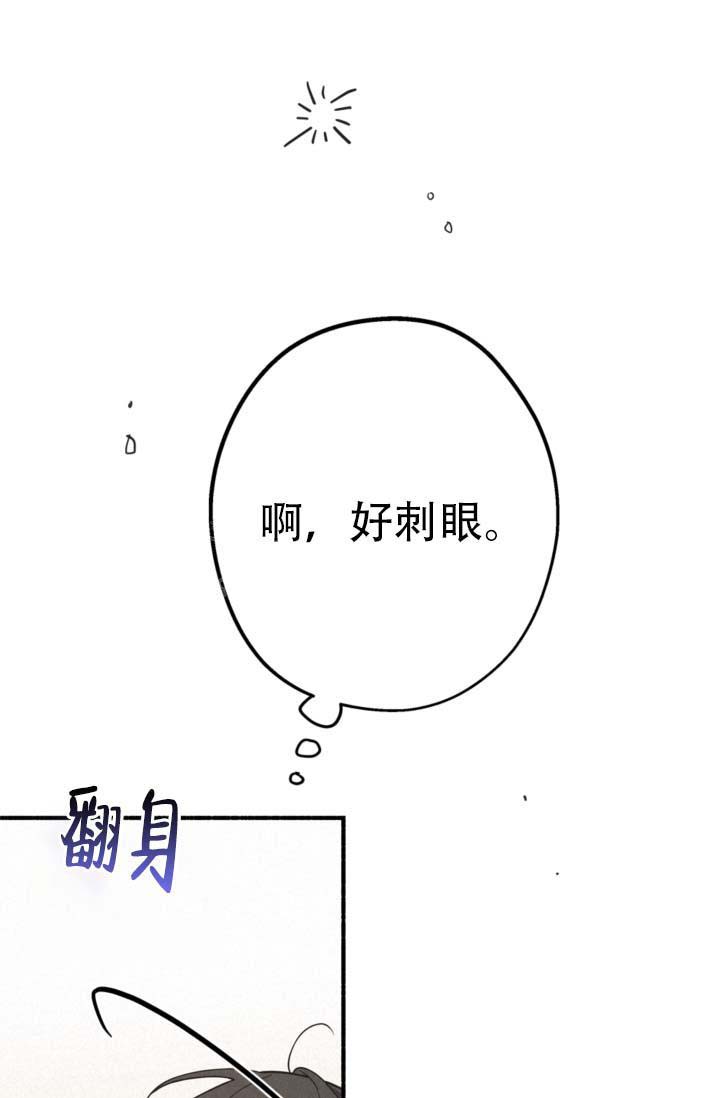 《摩尼珠》漫画最新章节第17话免费下拉式在线观看章节第【5】张图片