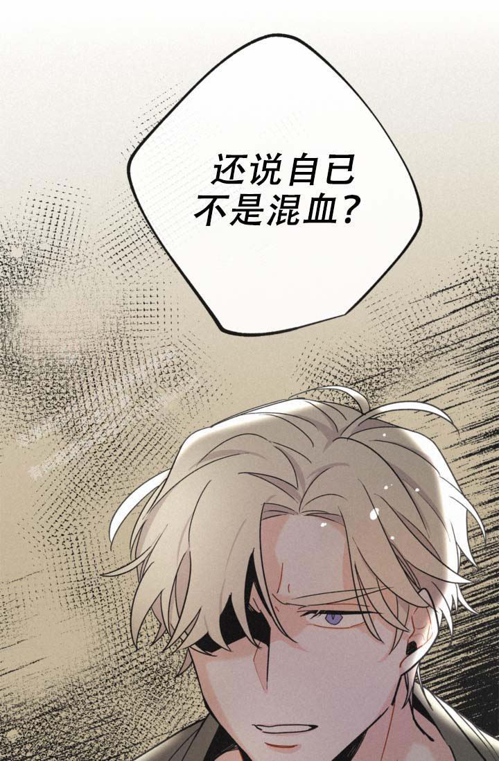 《摩尼珠》漫画最新章节第10话免费下拉式在线观看章节第【37】张图片