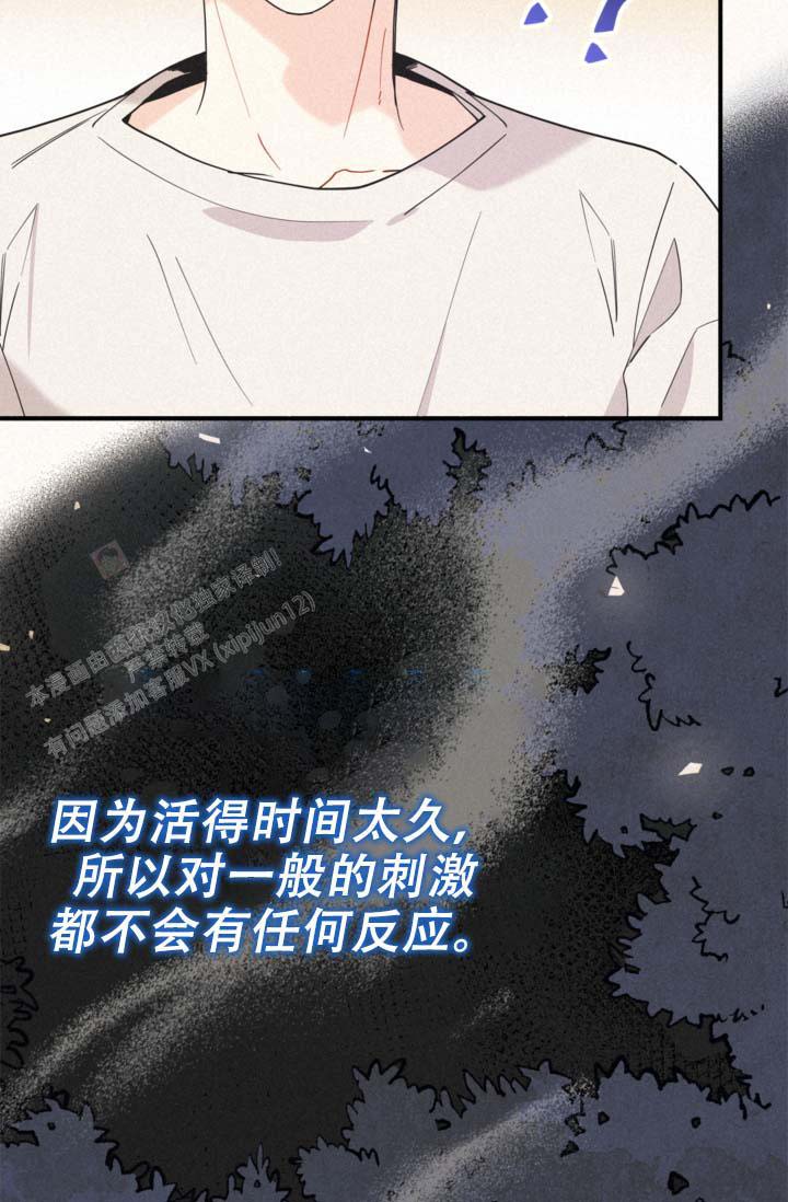 《摩尼珠》漫画最新章节第13话免费下拉式在线观看章节第【5】张图片