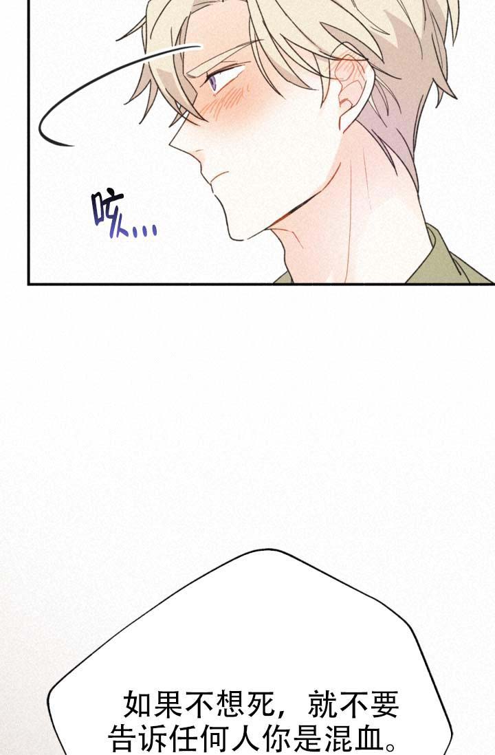 《摩尼珠》漫画最新章节第11话免费下拉式在线观看章节第【34】张图片