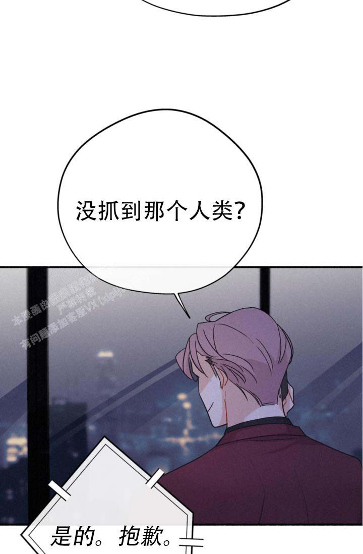 《摩尼珠》漫画最新章节第8话免费下拉式在线观看章节第【33】张图片