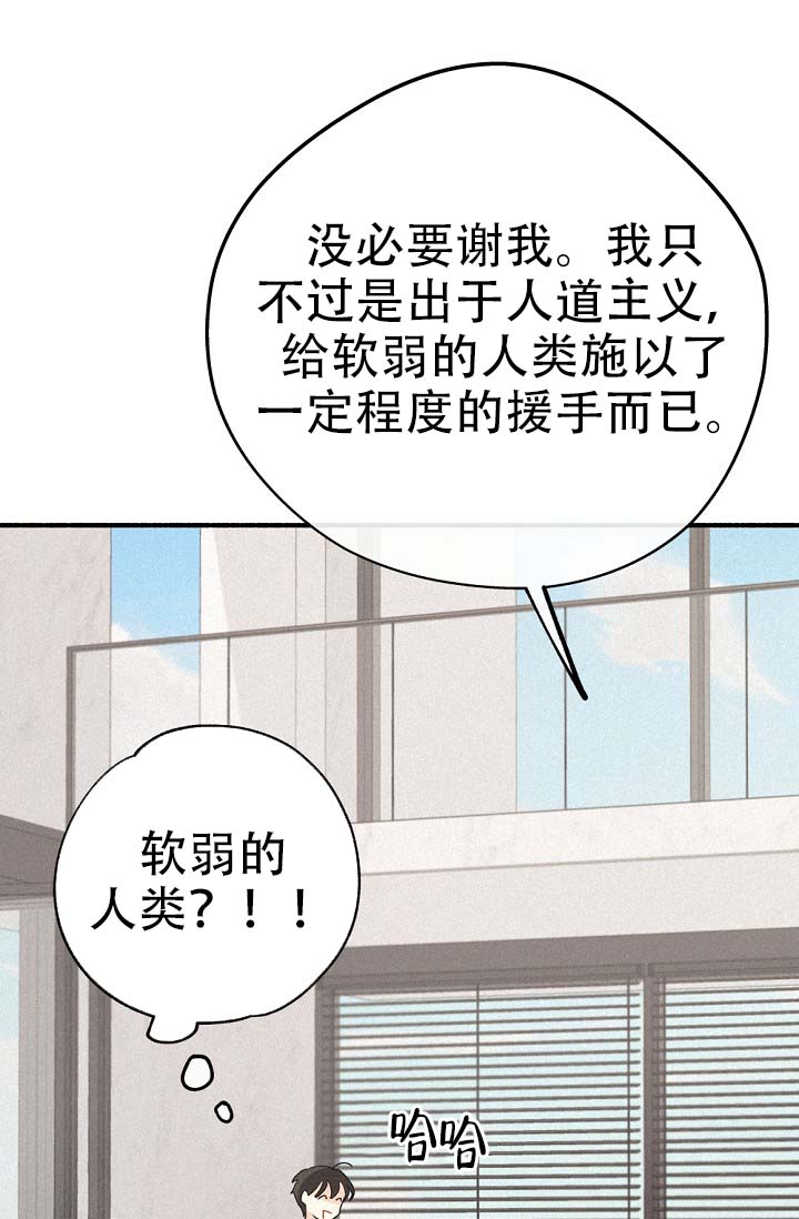 《摩尼珠》漫画最新章节第3话免费下拉式在线观看章节第【41】张图片