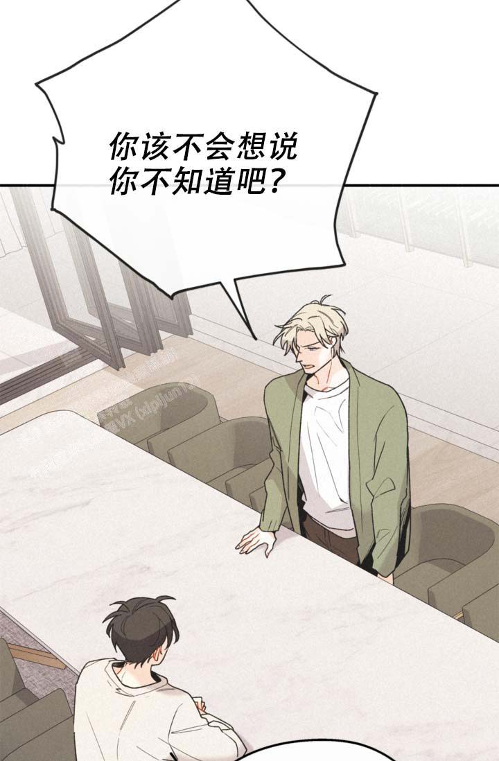 《摩尼珠》漫画最新章节第11话免费下拉式在线观看章节第【15】张图片