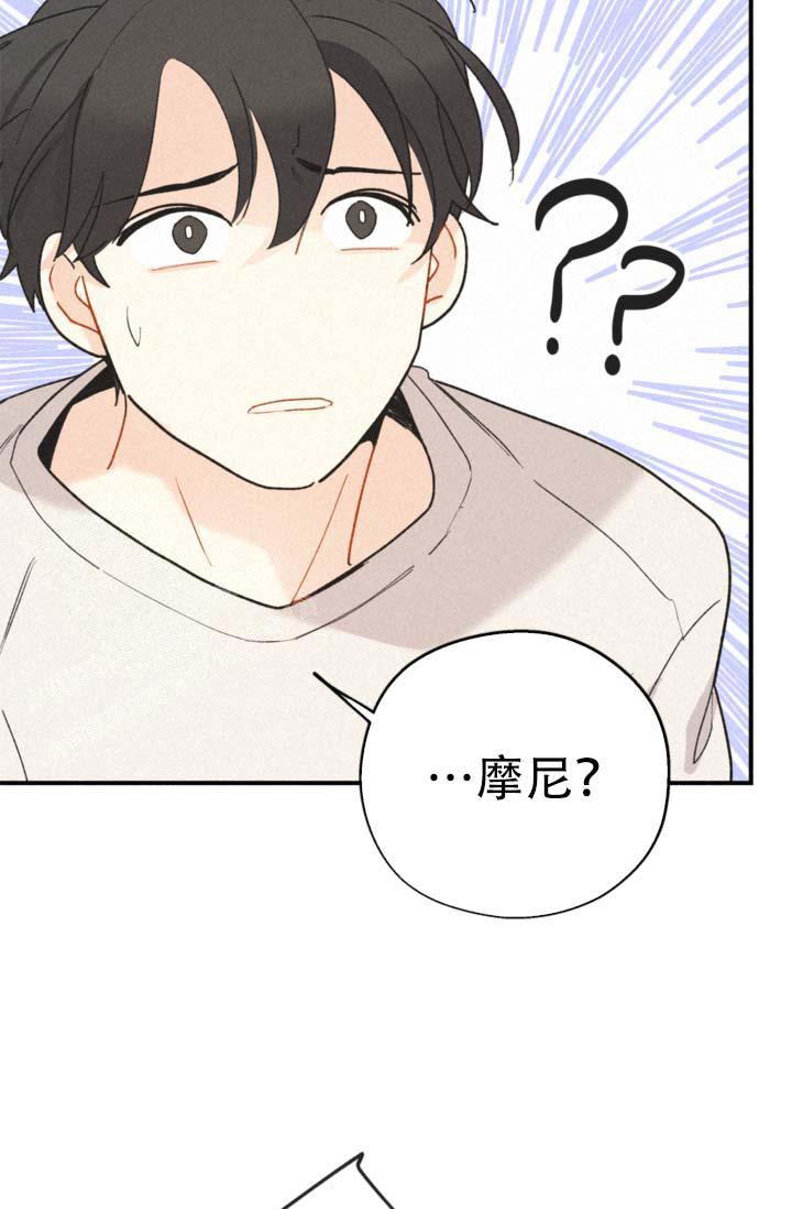 《摩尼珠》漫画最新章节第11话免费下拉式在线观看章节第【14】张图片