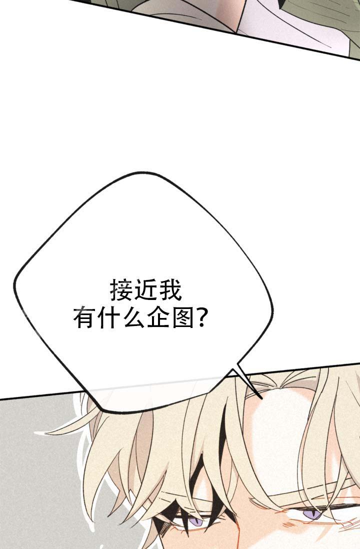 《摩尼珠》漫画最新章节第11话免费下拉式在线观看章节第【4】张图片
