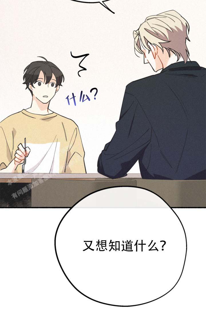 《摩尼珠》漫画最新章节第18话免费下拉式在线观看章节第【5】张图片