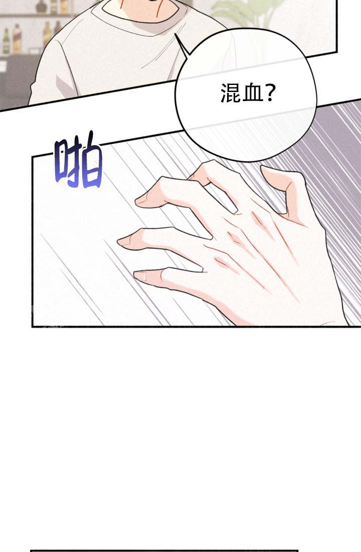 《摩尼珠》漫画最新章节第10话免费下拉式在线观看章节第【33】张图片