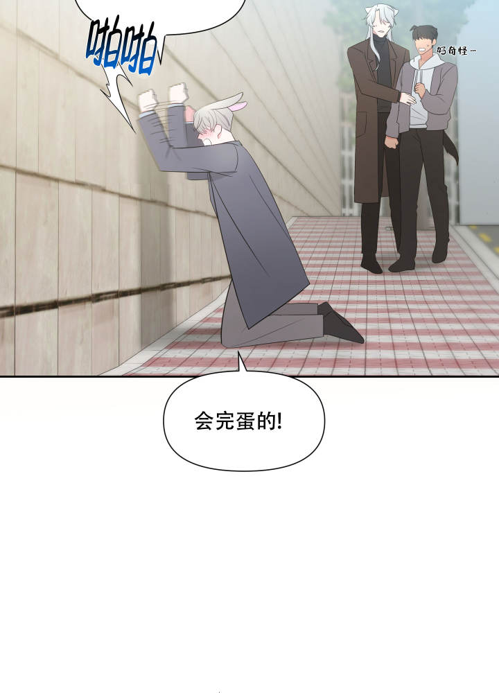 《喜欢我吧》漫画最新章节第1话免费下拉式在线观看章节第【28】张图片