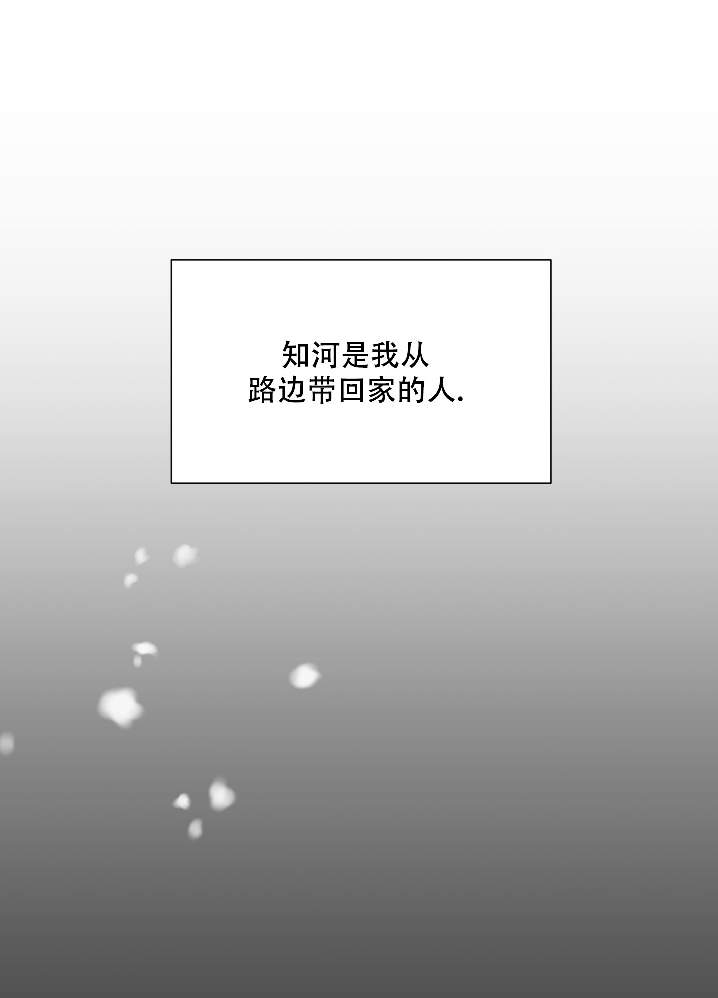 《喜欢我吧》漫画最新章节第1话免费下拉式在线观看章节第【14】张图片