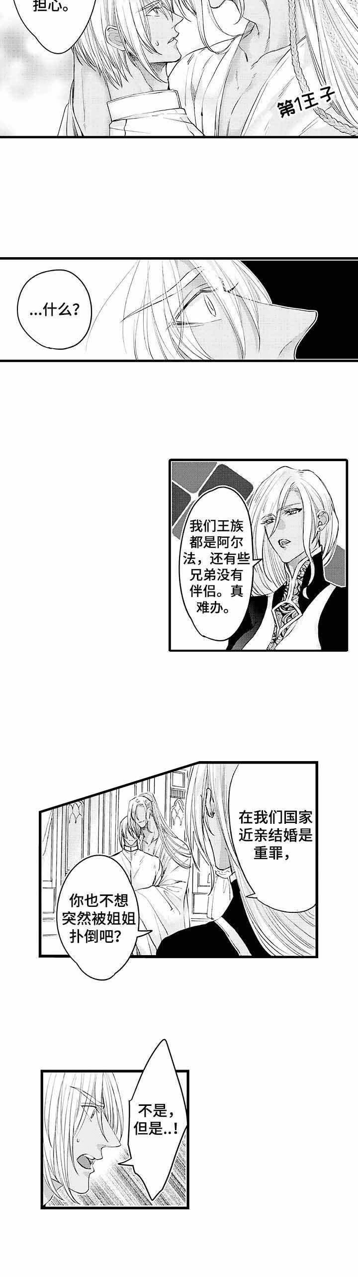 《A与A的对决》漫画最新章节第16话免费下拉式在线观看章节第【8】张图片