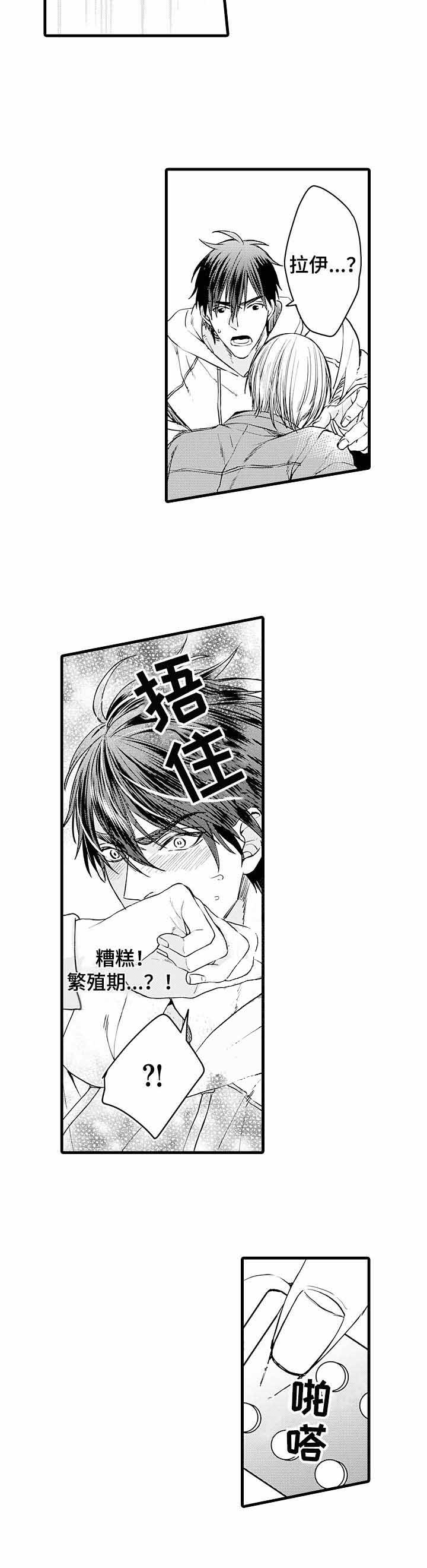 《A与A的对决》漫画最新章节第11话免费下拉式在线观看章节第【5】张图片