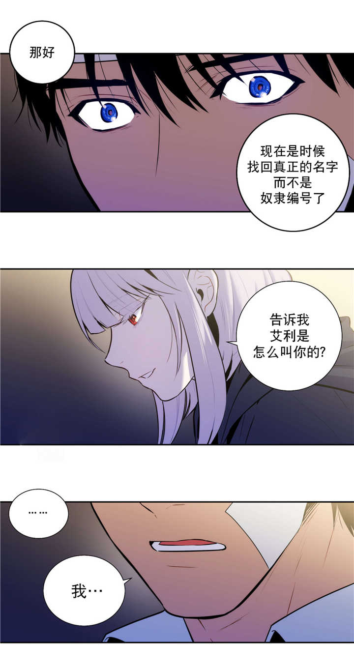 《圣杯》漫画最新章节第59话免费下拉式在线观看章节第【3】张图片