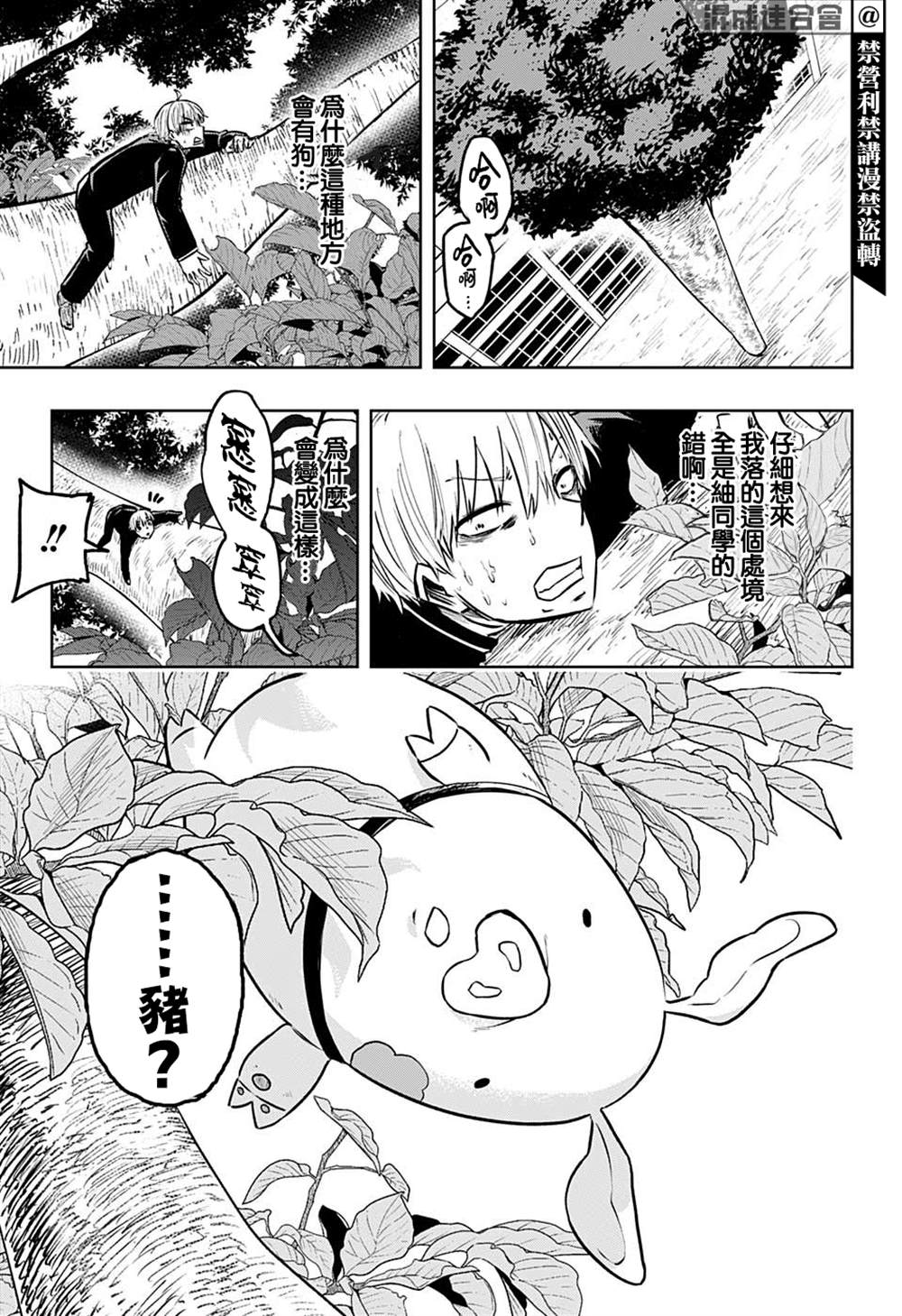 《糖如雨下》漫画最新章节第11话免费下拉式在线观看章节第【9】张图片