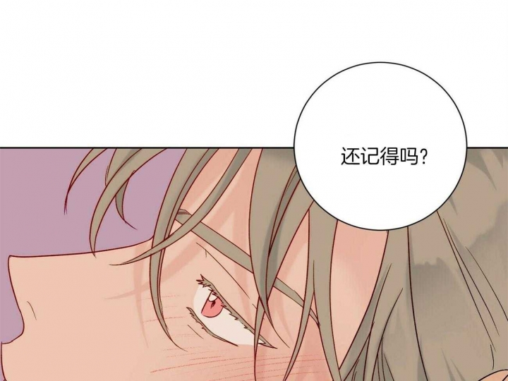 《爱我吧，医生！》漫画最新章节第110话免费下拉式在线观看章节第【14】张图片