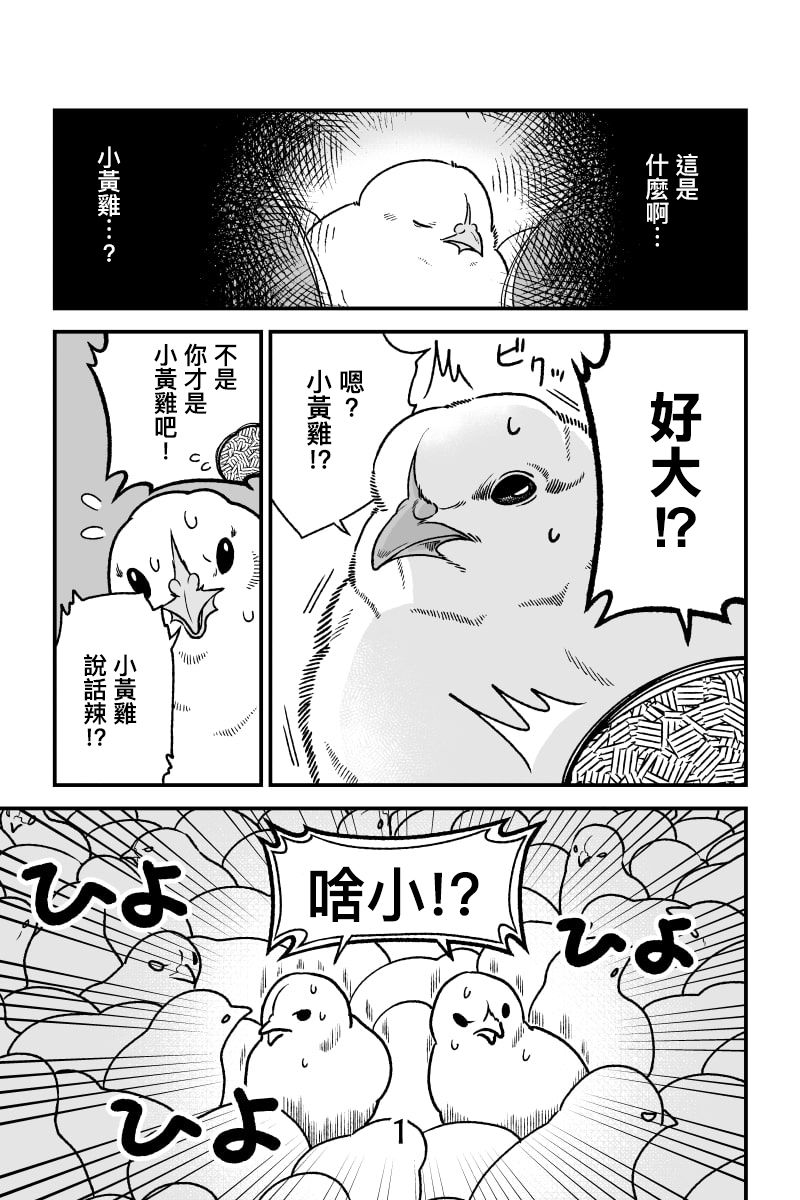 《小黄鸡梦醒后》漫画最新章节第1话免费下拉式在线观看章节第【1】张图片