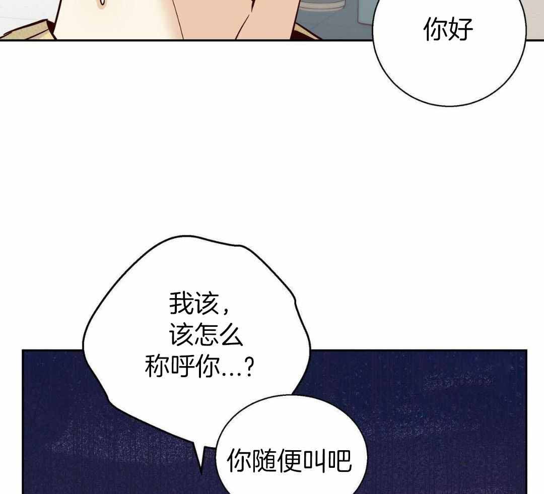 《危险的便利店(第I+II季)》漫画最新章节第182话免费下拉式在线观看章节第【47】张图片