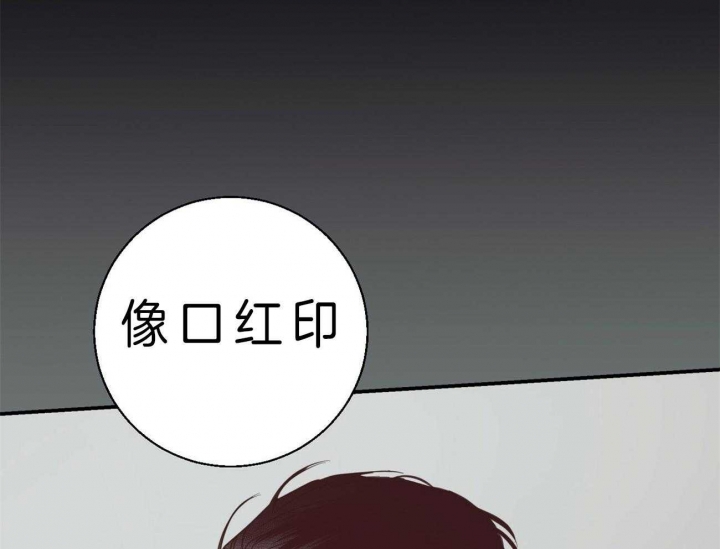 《危险的便利店(第I+II季)》漫画最新章节第46话免费下拉式在线观看章节第【52】张图片