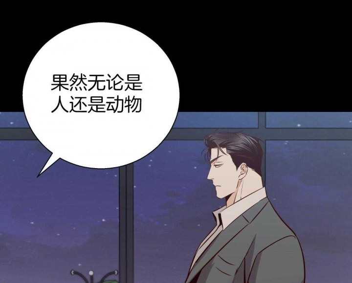 《危险的便利店(第I+II季)》漫画最新章节第127话免费下拉式在线观看章节第【35】张图片