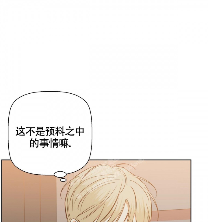 《危险的便利店(第I+II季)》漫画最新章节第137话免费下拉式在线观看章节第【7】张图片