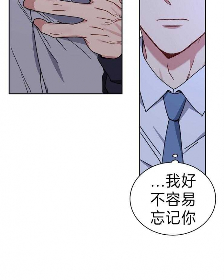 《kiss定律》漫画最新章节第64话免费下拉式在线观看章节第【20】张图片