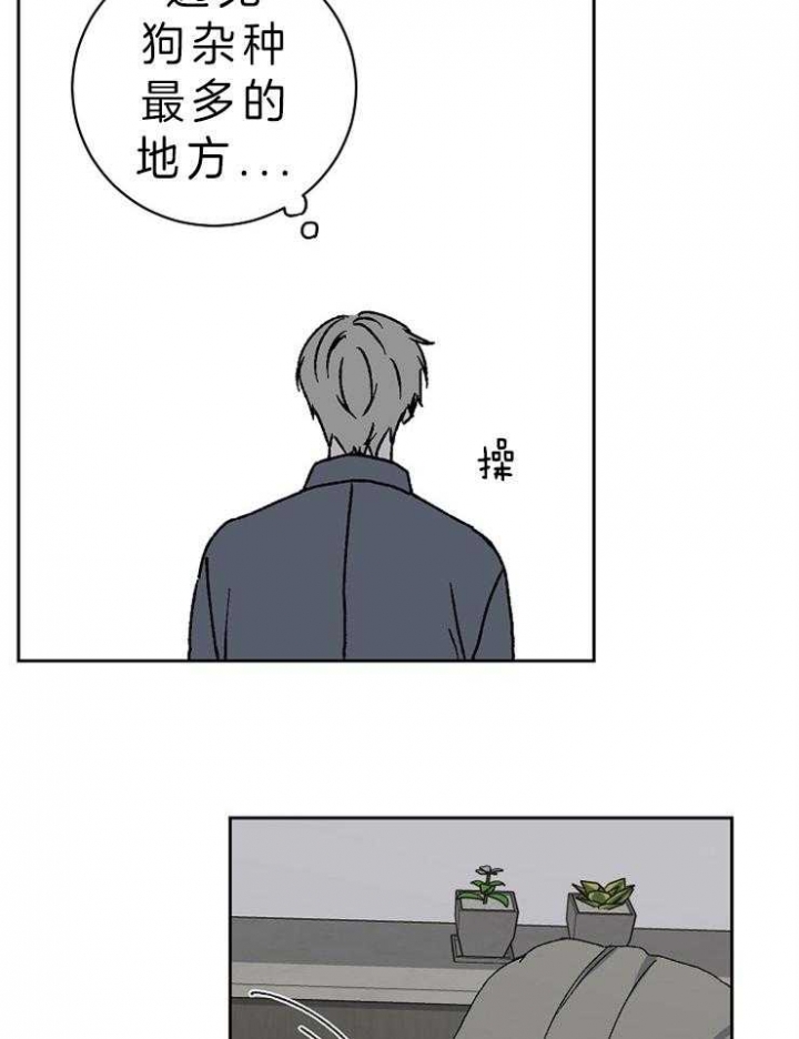 《kiss定律》漫画最新章节第36话免费下拉式在线观看章节第【19】张图片