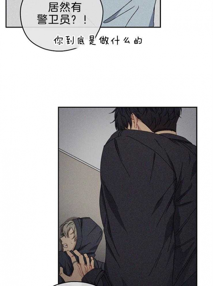 《kiss定律》漫画最新章节第73话免费下拉式在线观看章节第【17】张图片