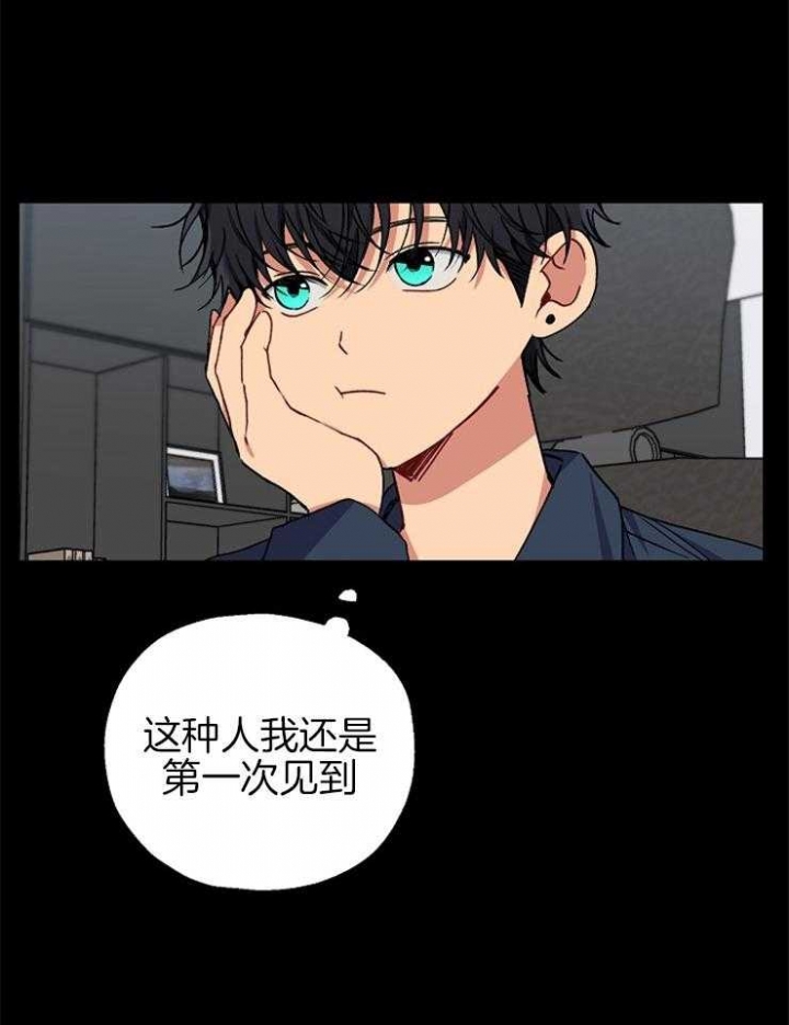 《kiss定律》漫画最新章节第82话免费下拉式在线观看章节第【5】张图片