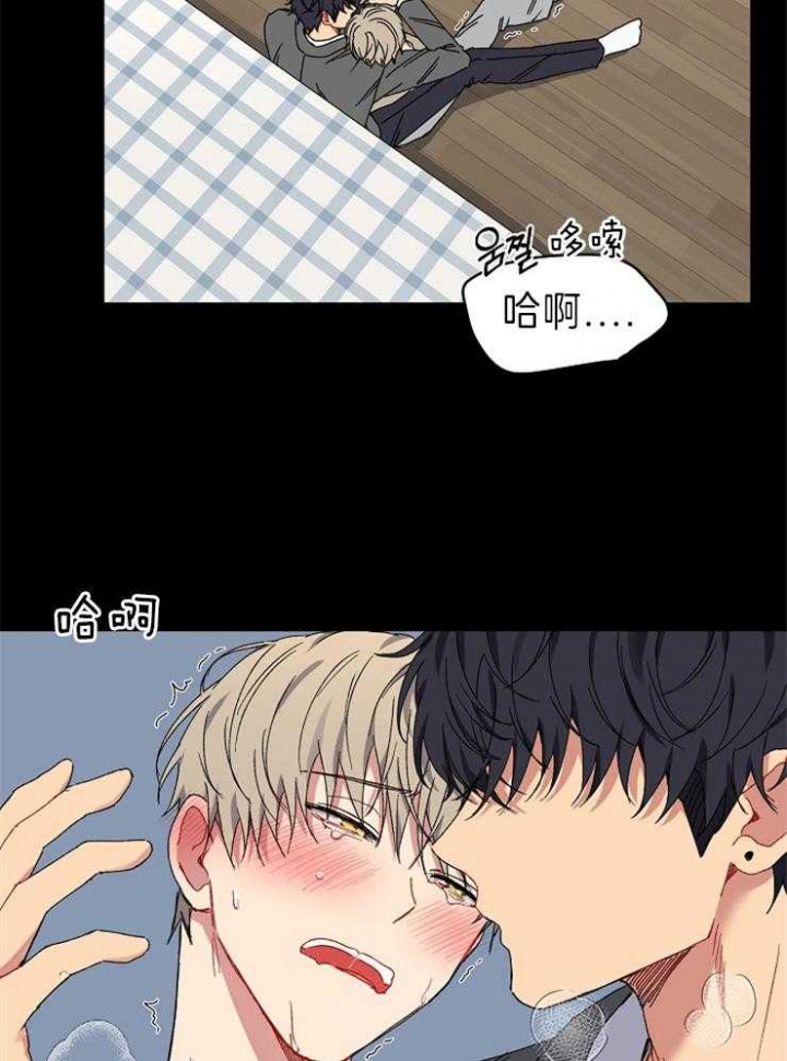 《kiss定律》漫画最新章节第50话免费下拉式在线观看章节第【10】张图片