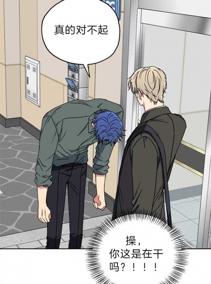 《kiss定律》漫画最新章节第67话免费下拉式在线观看章节第【16】张图片