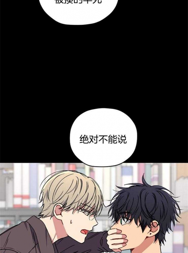 《kiss定律》漫画最新章节第81话免费下拉式在线观看章节第【31】张图片