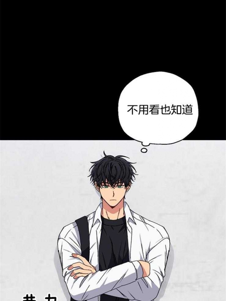 《kiss定律》漫画最新章节第87话免费下拉式在线观看章节第【8】张图片