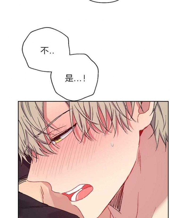 《kiss定律》漫画最新章节第39话免费下拉式在线观看章节第【15】张图片