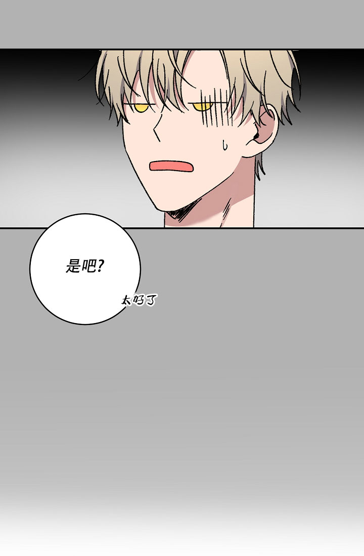 《kiss定律》漫画最新章节第106话免费下拉式在线观看章节第【53】张图片