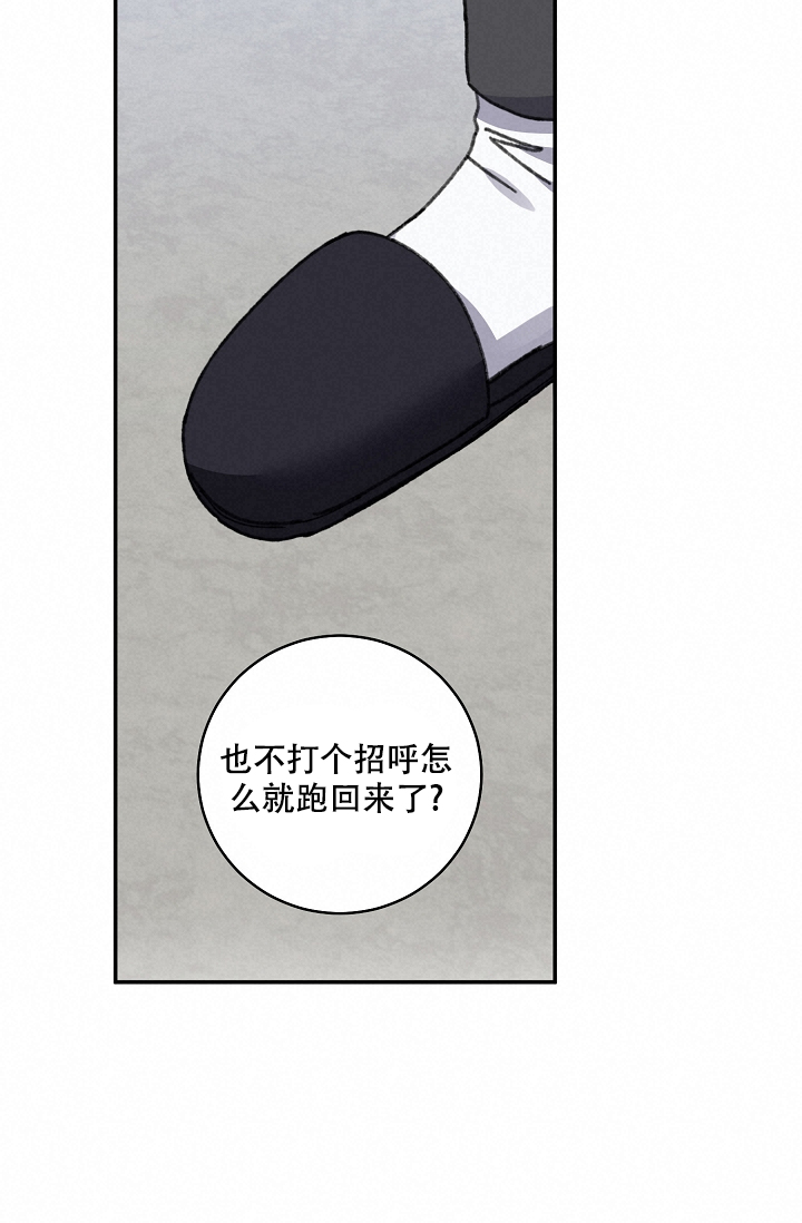 《kiss定律》漫画最新章节第95话免费下拉式在线观看章节第【13】张图片