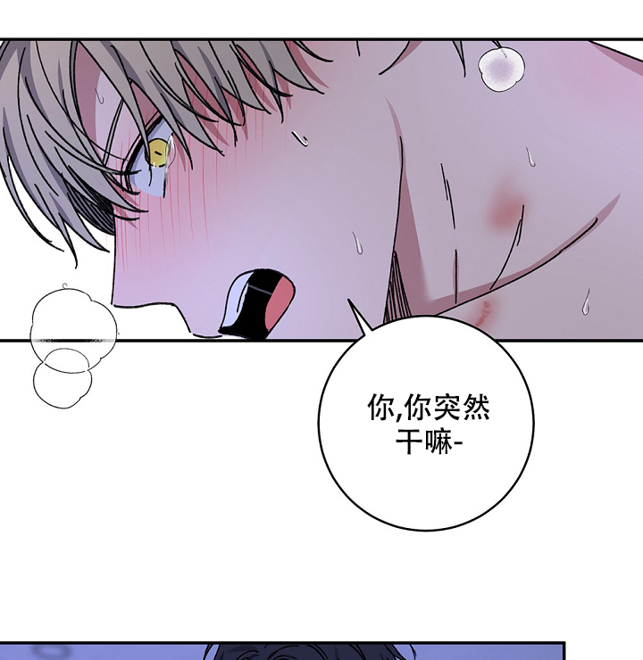 《kiss定律》漫画最新章节第98话免费下拉式在线观看章节第【63】张图片