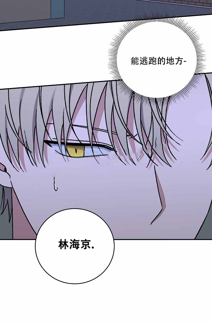 《kiss定律》漫画最新章节第112话免费下拉式在线观看章节第【4】张图片