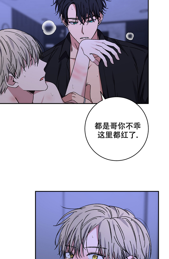 《kiss定律》漫画最新章节第98话免费下拉式在线观看章节第【64】张图片