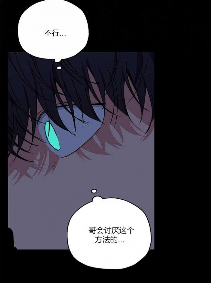 《kiss定律》漫画最新章节第85话免费下拉式在线观看章节第【32】张图片