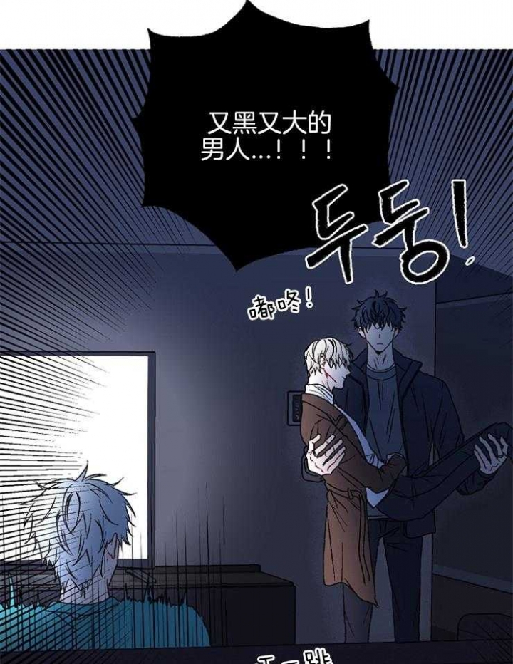 《kiss定律》漫画最新章节第31话免费下拉式在线观看章节第【16】张图片