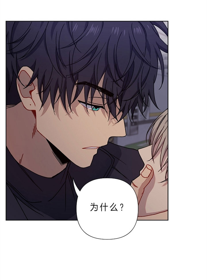 《kiss定律》漫画最新章节第13话免费下拉式在线观看章节第【24】张图片