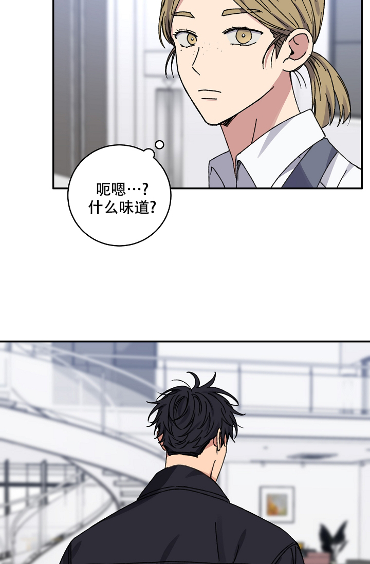 《kiss定律》漫画最新章节第95话免费下拉式在线观看章节第【11】张图片