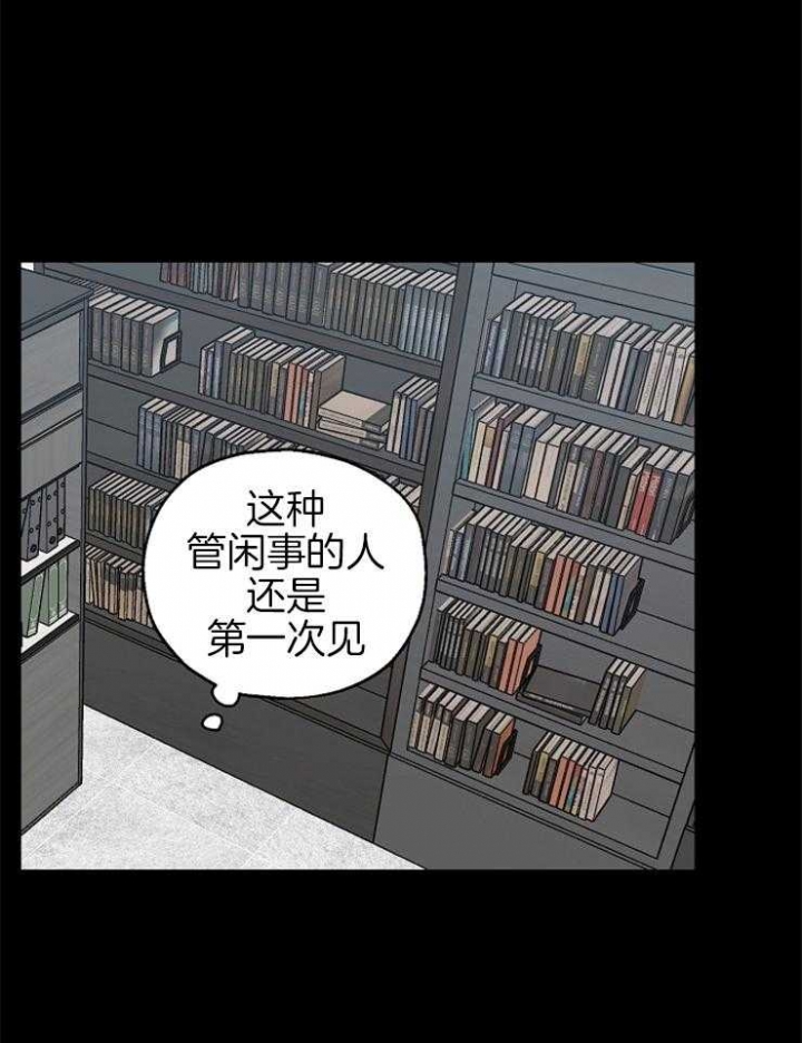 《kiss定律》漫画最新章节第82话免费下拉式在线观看章节第【11】张图片