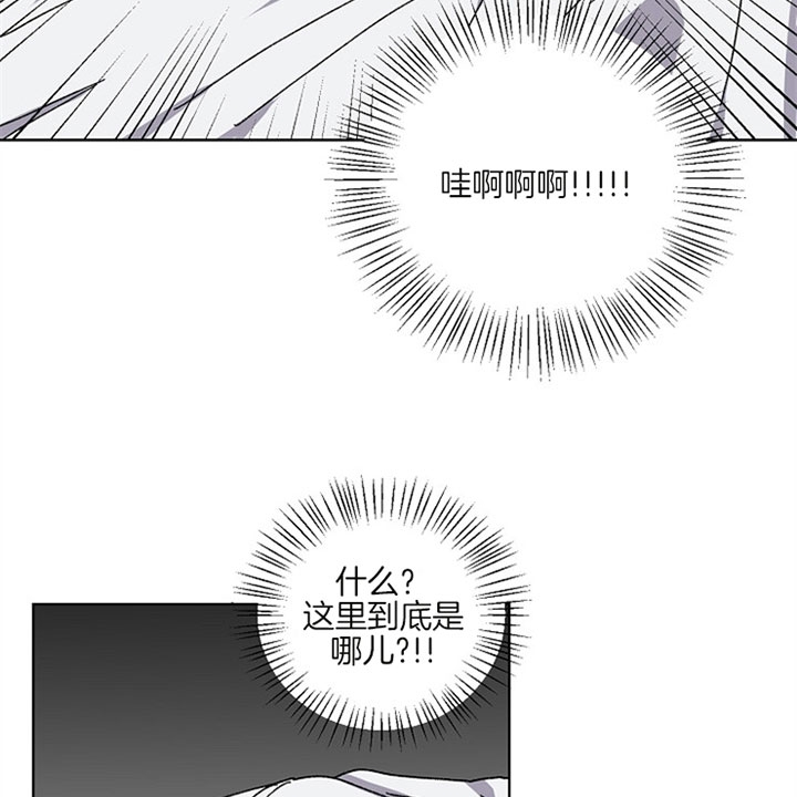 《kiss定律》漫画最新章节第4话免费下拉式在线观看章节第【5】张图片