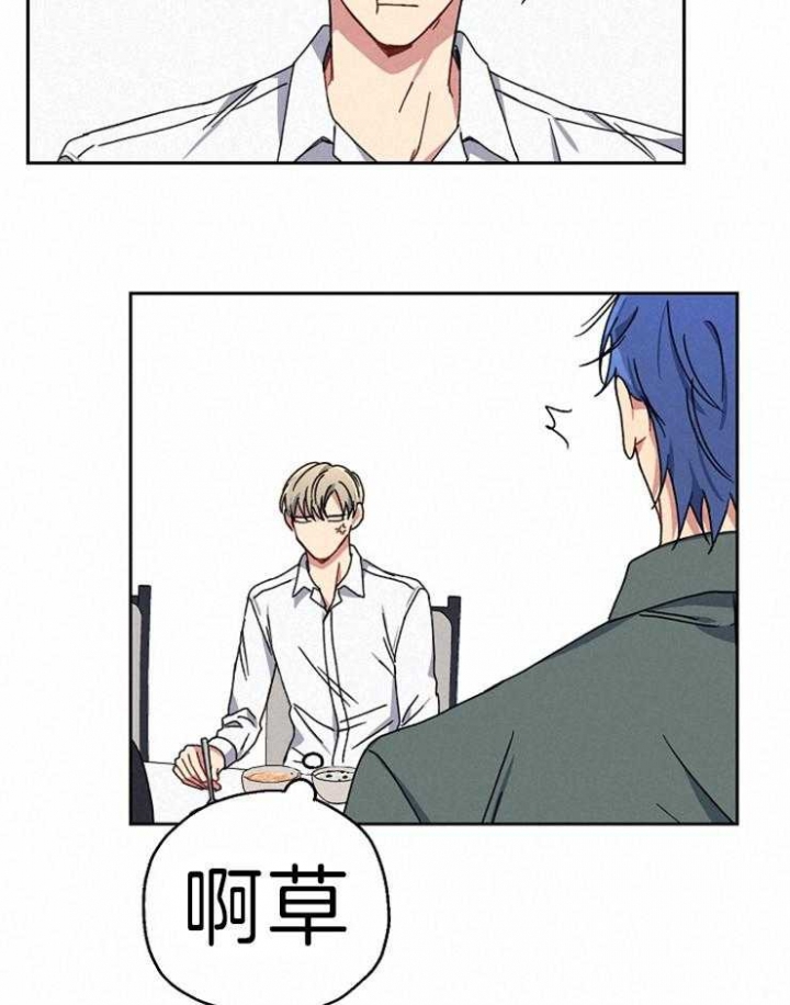 《kiss定律》漫画最新章节第66话免费下拉式在线观看章节第【14】张图片