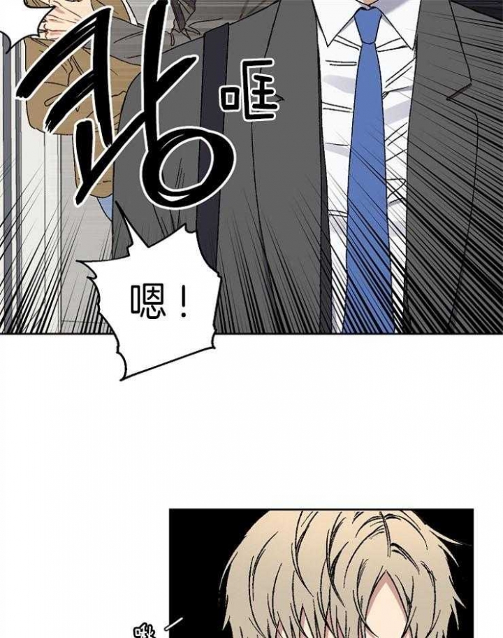 《kiss定律》漫画最新章节第34话免费下拉式在线观看章节第【11】张图片