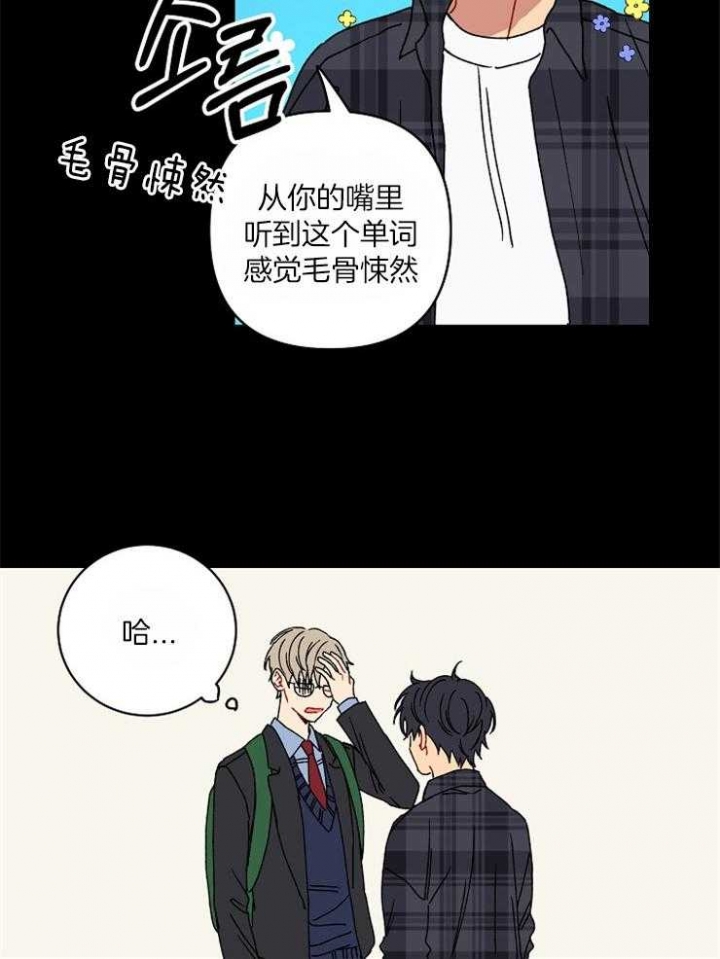 《kiss定律》漫画最新章节第48话免费下拉式在线观看章节第【5】张图片