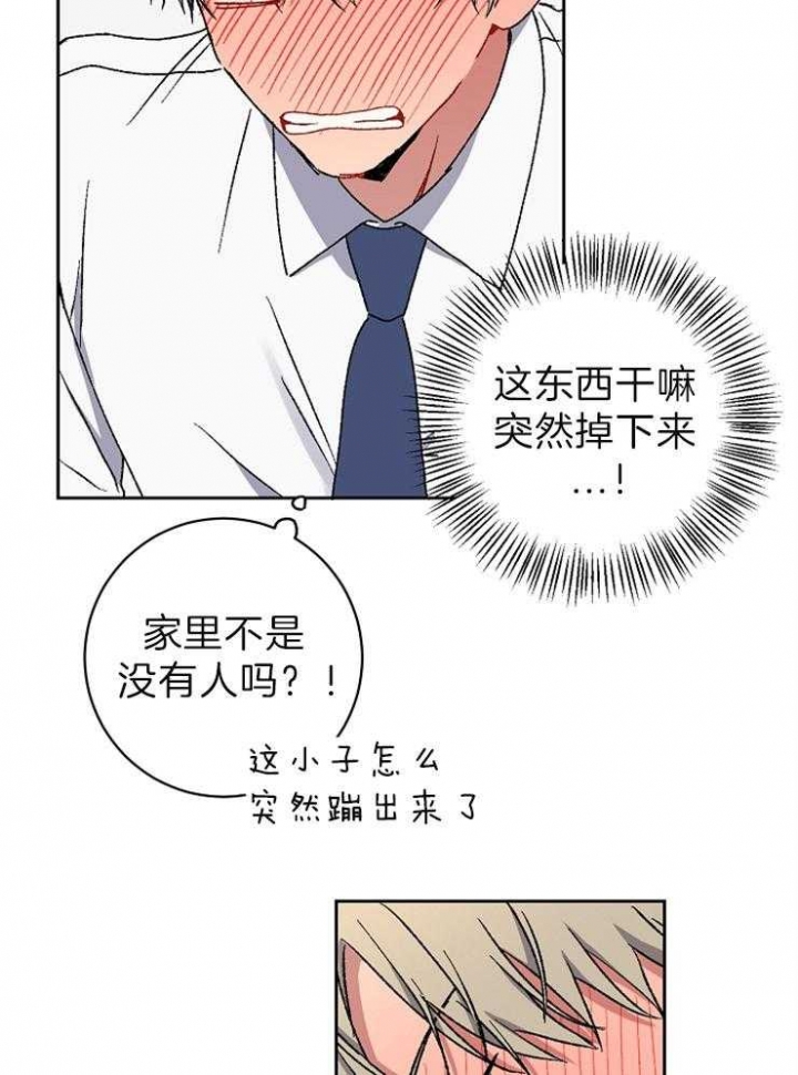 《kiss定律》漫画最新章节第38话免费下拉式在线观看章节第【14】张图片