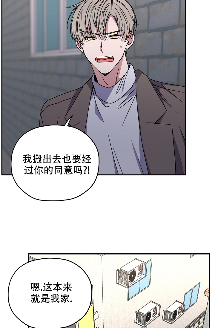 《kiss定律》漫画最新章节第94话免费下拉式在线观看章节第【44】张图片