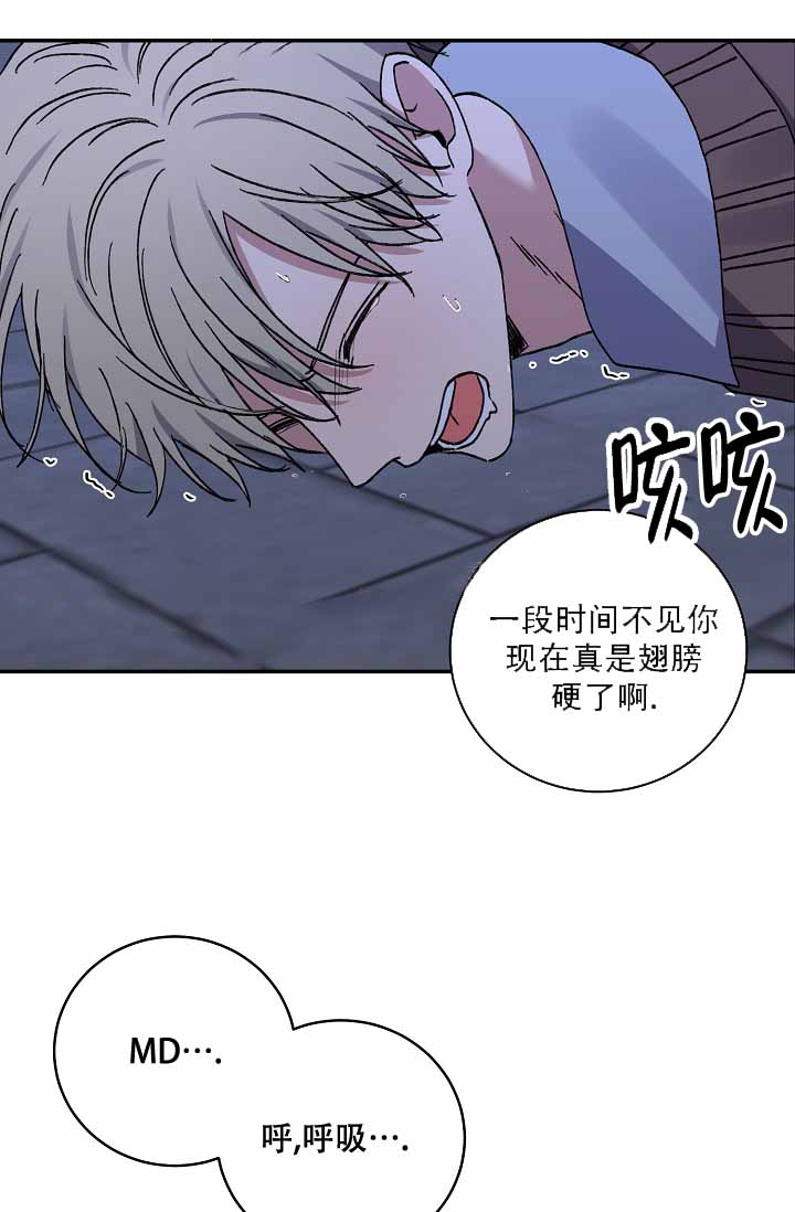 《kiss定律》漫画最新章节第112话免费下拉式在线观看章节第【15】张图片