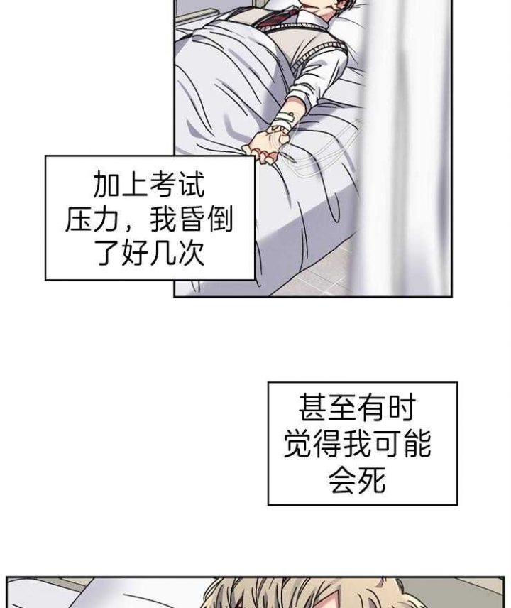 《kiss定律》漫画最新章节第63话免费下拉式在线观看章节第【26】张图片